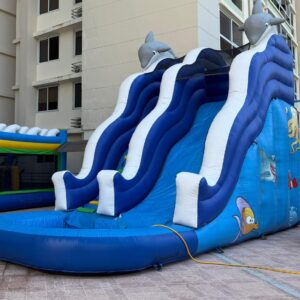 inflable-delfin