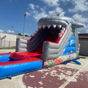inflable-tiburon
